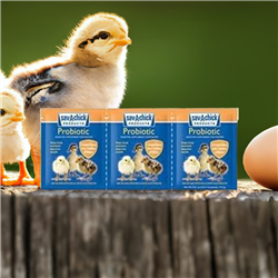 Sav-A-ChickÂ® Probiotic Supplement