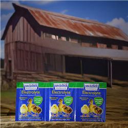 Sav-A-ChickÂ® Electrolyte and Vitamin Supplement - 3 packets, each making one gallon of solution. Essential vitamins and electrolytes for poultry health. Available online and in Spartanburg, SC.