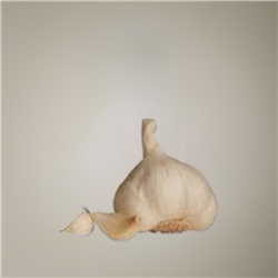 California Garlic Bulbs - Off-white, large, plump bulbs with papery skins and creamy-white cloves, easy to grow and very productive, perfect for home gardens.