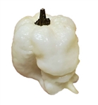 White Moruga Scorpion Pepper